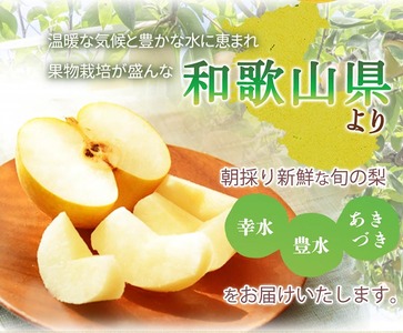 紀州和歌山産の梨 約2kg 化粧箱入 ※離島への配送不可 ※2024年8月中旬~9月上旬頃に順次発送予定