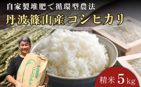 【令和7年産丹波篠山産】コシヒカリ 精米 5kg こしひかり [DP06]