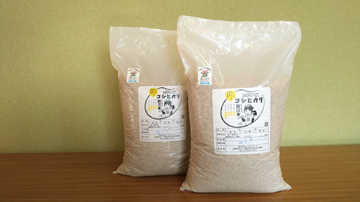 【6年産】強い粘りと旨味！お米の王様「コシヒカリ」　玄米　10ｋｇ（5ｋｇ×2）【C033U】