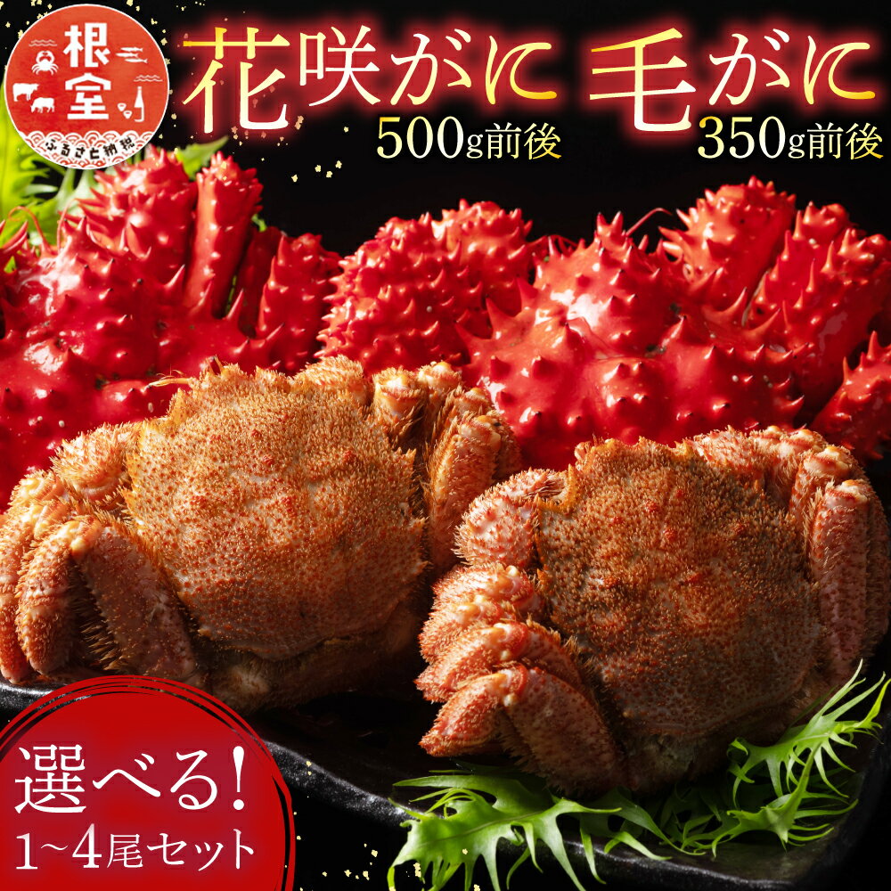【ふるさと納税】 花咲がに 500g 前後、毛がに 350g 前後セット 各 1 尾 ( 計 2 尾 ) 〜 各 4 尾 ( 計 8 尾 ) カニ 花咲ガニ 花咲蟹 毛ガニ 毛蟹 花咲 花咲かに かに 蟹 ボイル 茹で蟹 茹でがに 茹でガニ けがに ケガニ お取り寄せ グルメ 海鮮 北海道 根室市 ふるさと納税