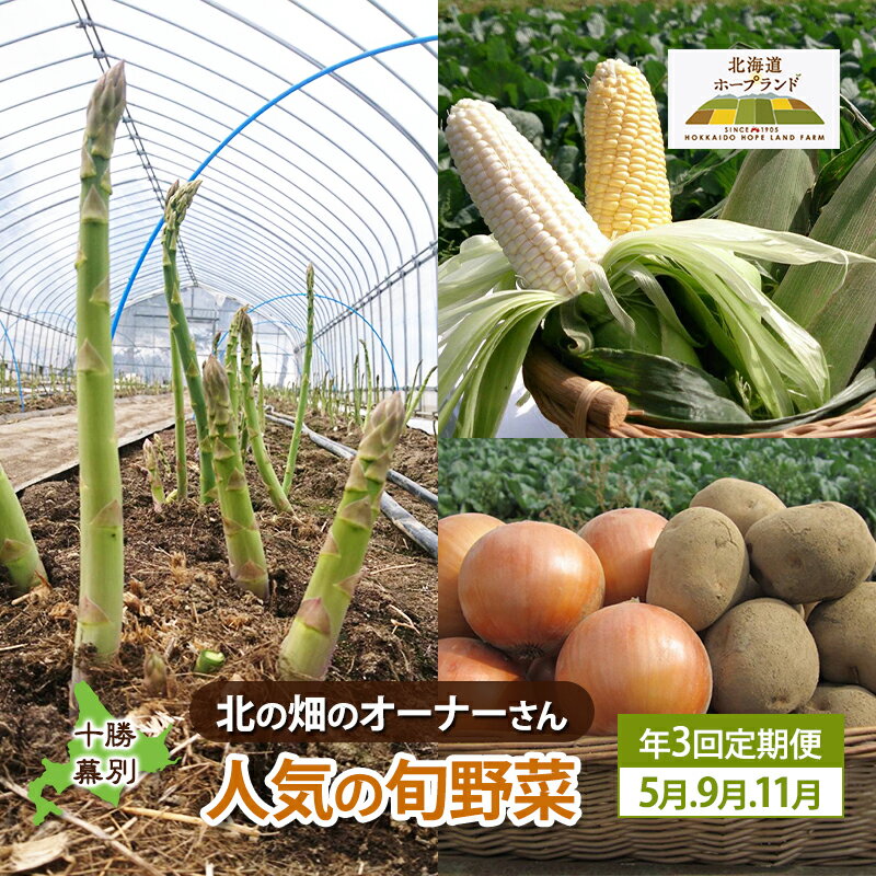 【ふるさと納税】十勝幕別 北の畑のオーナーさん 人気の旬野菜 年3回定期便［2025年5月出荷開始］北海道ホープランド農場 【 アスパラ とうもろこし コーン じゃがいも ジャガイモ 玉ねぎ 野菜 定期便 】　お届け：2026年5月出荷開始