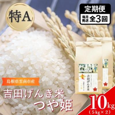 ふるさと納税 雲南市 【毎月定期便】島根県雲南市産　吉田げんき米　つや姫　10kg(5kg×2)全3回