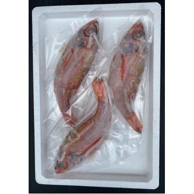 ふるさと納税 浜田市 山陰浜田　創業大正10年香住屋の「のどぐろ煮つけ・塩焼用(3〜4尾)約480g」 |  | 01