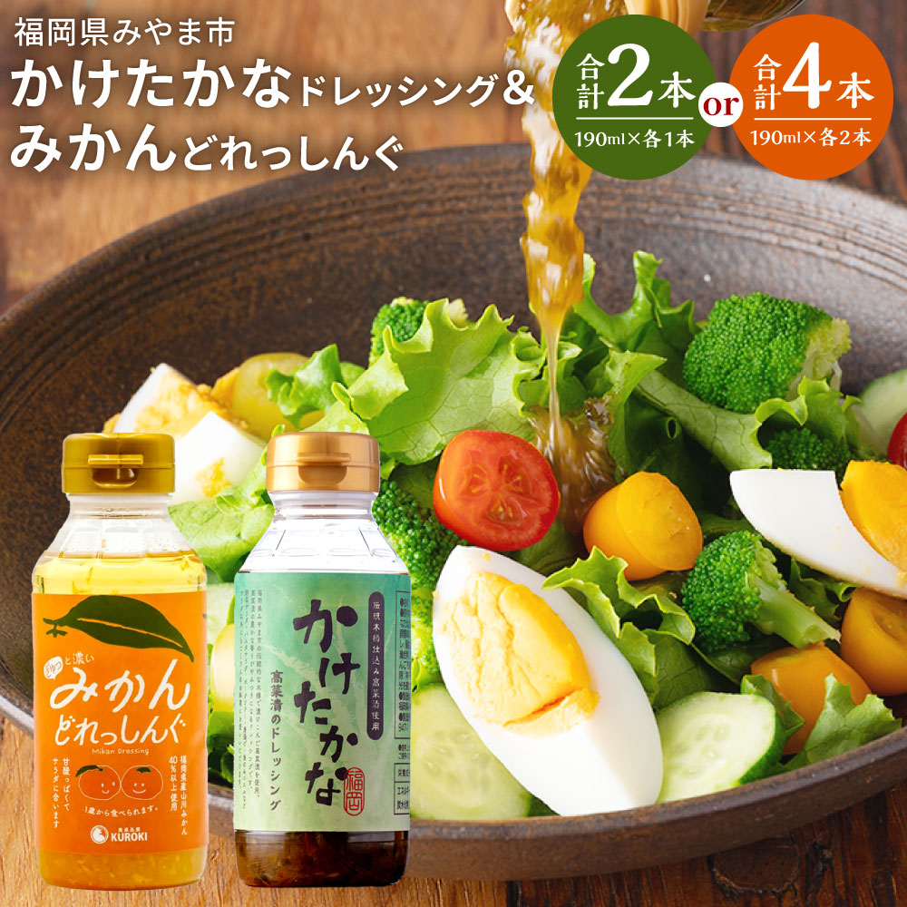 【ふるさと納税】＜選べる本数＞かけたかなドレッシング＆みかんどれっしんぐ 1本190ml 各1本セット（計2本） / 各2本セット（計4本） ドレッシング 調味料 高菜漬け 三池高菜 みかん ミカン 蜜柑 山川みかん サラダ 福岡県産 国産 九州 福岡県 みやま市 送料無料 A334 A337