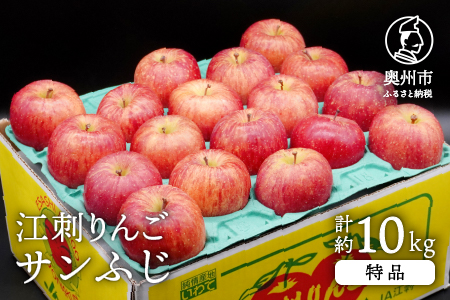 江刺りんご サンふじ 10kg（28～40玉）【2025年1月中旬以降お届け】 [AQ012]