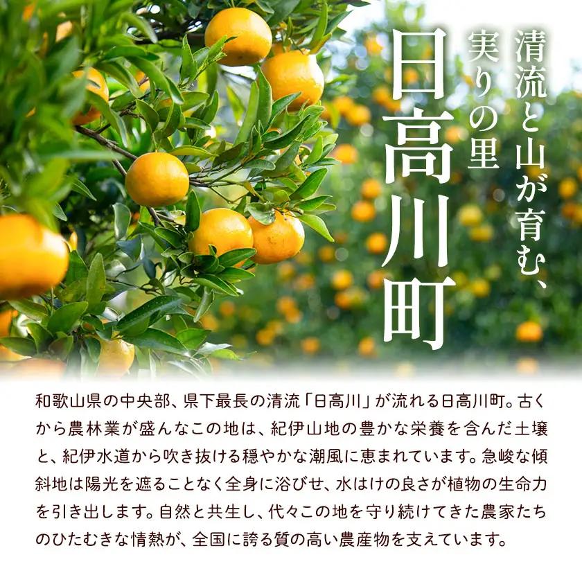 訳あり 国産 レモン サイズ混合 3kg エイワ商店 檸檬 レモン