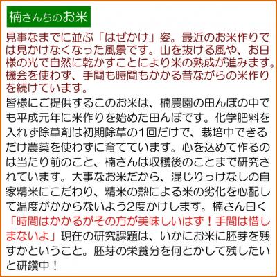 ふるさと納税 小川村 小川村自慢のはぜかけ米5キロ*365 |  | 02