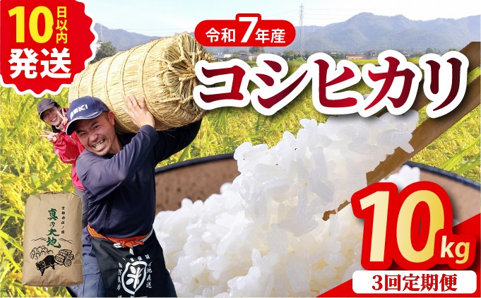 
                  【3回定期便】京都丹波産 こしひかり 精米 10kg × 3回 定期便【京都丹波カントリー】白米 米 お米 こめ コメ ライス ご飯 ごはん もっちり つやつや おいしい 美味しい 贈り物 単一原料米 国産 コシヒカリ 仕送り お取り寄せ 産地直送 米定期便 農家直送 定期便米 おすすめ 10キロ 30キロ １０ｋｇ ３０ｋｇ 30kg ※北海道･沖縄･離島への配送不可【～3月31日まで】
                