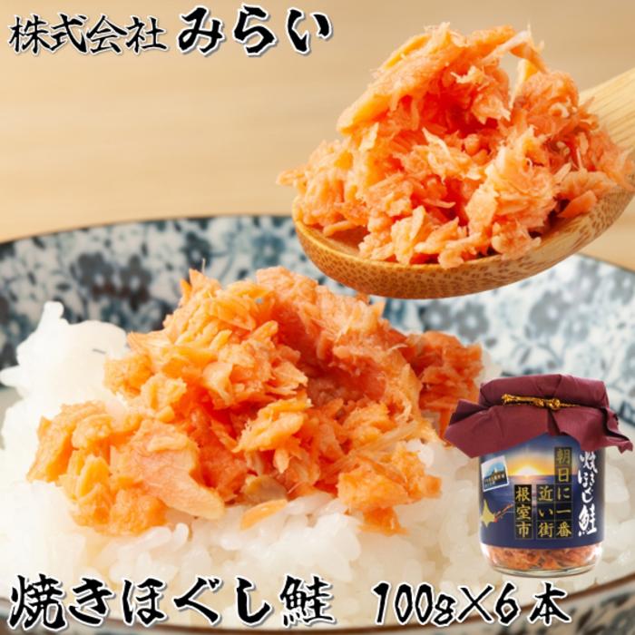 【ふるさと納税】焼きほぐし鮭(鮭フレーク)100g×6本 G-49002