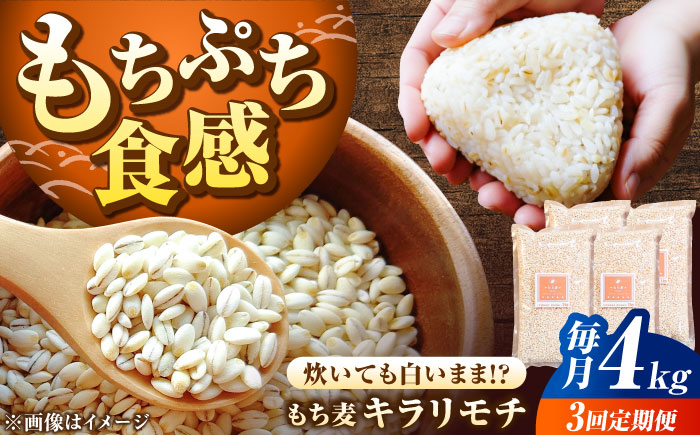 【全3回定期便】もち麦 キラリモチ 4kg（1kg×4袋）/ 佐賀県 / 大塚米穀店 [41ANAD009]