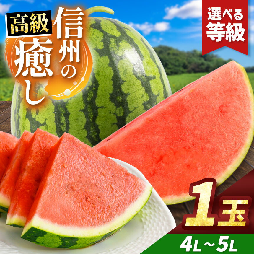 【ふるさと納税】先行予約【選べる】信州波田産 贈答用 高級スイカ！信州の癒し 4L～5Lサイズ 1玉｜ふるさと納税 長野県 信州 松本 果物 フルーツ すいか スイカ 西瓜 贈答 季節限定 甘い くだもの ふるーつ