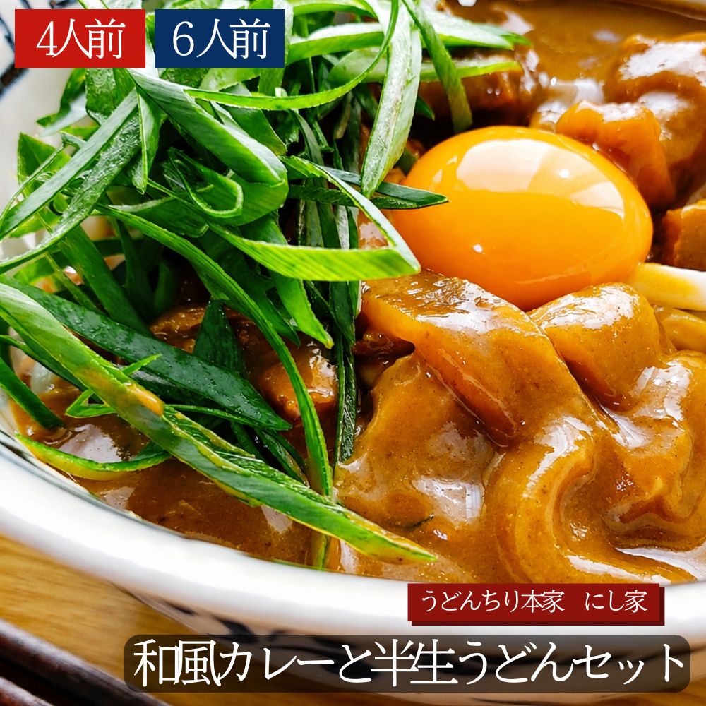 【ふるさと納税】和風カレーと半生うどん うどん カレー
