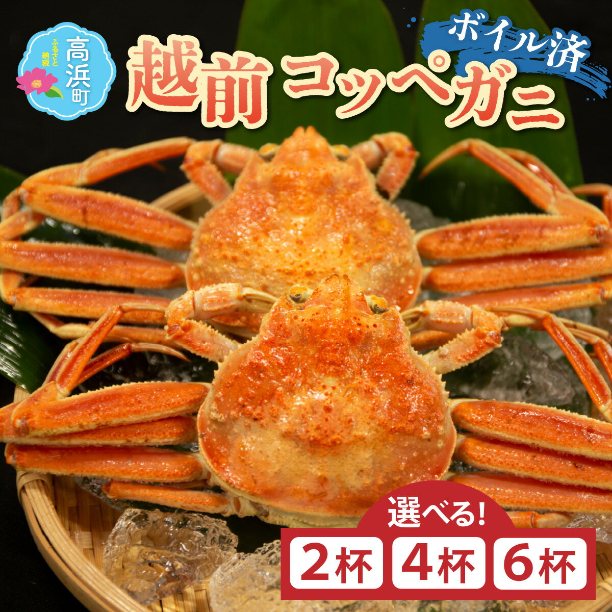 【ふるさと納税】【先行予約】【数量・期間限定】福井県産 越前コッペガニ（セイコガニ）(2杯/4杯/6杯)【急速冷凍】（プロトン凍結）【11月中旬より順次発送】｜せいこ蟹 せいこがに かにみそ ゆで蟹 冷凍配送 高級 お正月 大晦日 冬季限定 送料無料 [A-022004]