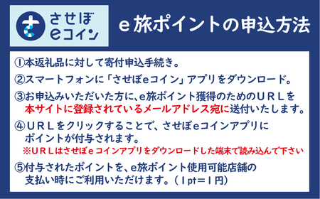【佐世保観光で使えるポイント】させぼe旅ポイント60,000円分 観光 地域通貨 電子決済 飲食 宿泊 体験 電子通貨 ハウステンボス 佐世保宿泊券 旅行
