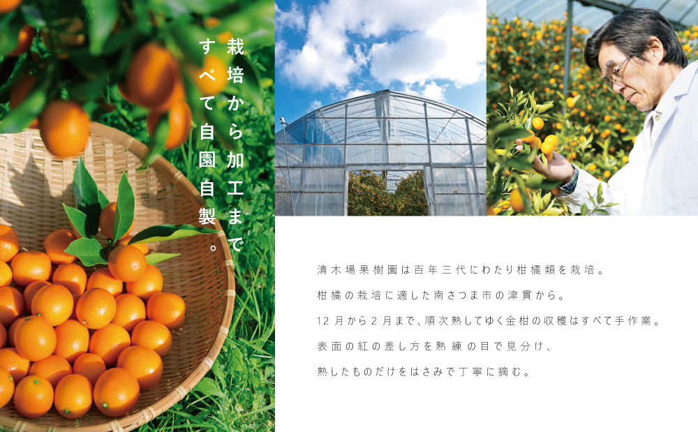 【鹿児島県産】金柑はちみつ水のど飴 150g×3本