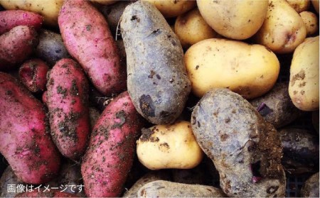 【 全6回 定期便 】【 福岡県 糸島産 】 朝採れ 野菜 セット （ 12品 前後 ） 《糸島》【オーガニックナガミツファーム】 	[AGE025]