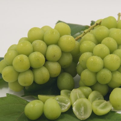 厳選!シャインマスカット約1.8～2.0kg　3～5房入り【配送不可地域：離島】