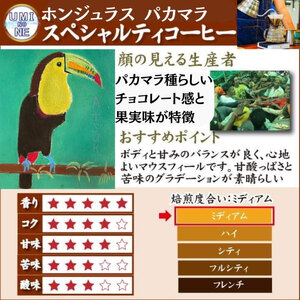 【中深煎り】 訳あり コーヒー豆 1kg ( 500g × 2袋 ) ホンジュラス ( コーヒー 珈琲 コーヒー豆 出荷当日 自家焙煎 数量限定 スペシャルティコーヒー ホンジュラスコーヒー コーヒー