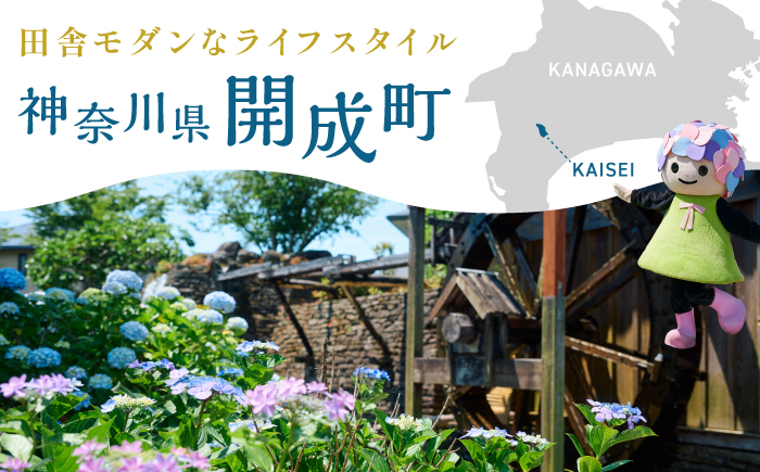 ガトーショコラ
