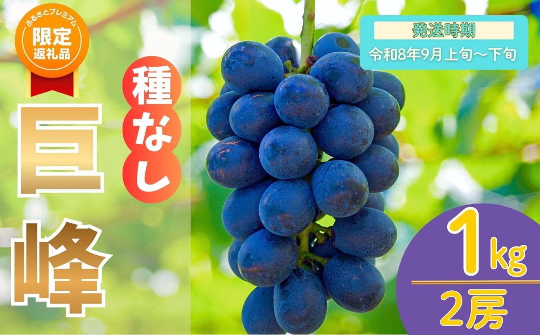 【ふるプレ限定品】【先行予約丨2026年9月上旬より順次発送】種なし巨峰【約1kg(2房あたり)】(At-005)丨長野県 飯山市 おすすめ ランキング おいしい 高評価 大人気 先取り 産地直送 ぶどう 巨峰