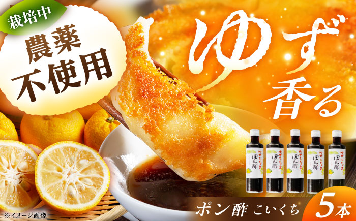 ポン酢（こいくち) 5本 / ポン酢 こいくち 調味料 柚子 ゆず / 恵那市 / かさぎゆず組合 [AUAW009]