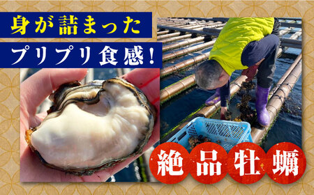 生牡蠣【1月発送】むき身700g[XBK001]牡蠣