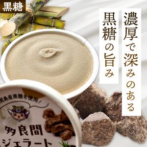 【ふるさと納税】お菓子 黒糖ジェラート＆アイスクリーム 2種類・たらまジェラート黒糖＆PREMIUM黒糖アイス 8個 ( 2種 × 4個 ) | 沖縄 アイス ジェラート 人気