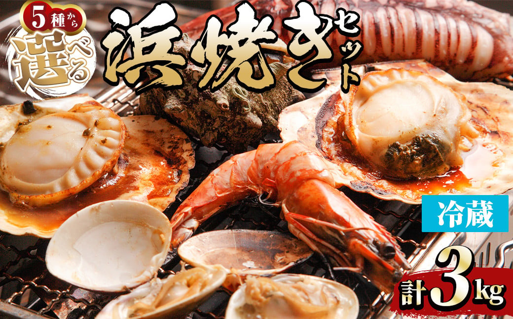 
＜内容を選べる＞浜焼きセット(約3kg)【sm-DD015・sm-DD016・sm-DD017・sm-DD018・sm-DD019】【Workplays】
