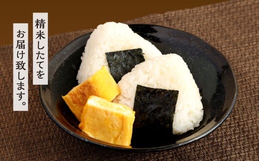 【令和7年度 新米 先行予約】 精米 食味鑑定士厳選 【3ヶ月定期便】 夢つくし 5kg×3回 計15kg お米 米 こめ コメ 白米 福岡県 北九州市