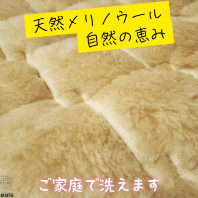 ふるさと納税 橋本市 ウォッシャブルメリノウール敷パッド シングル 100cm×205cm キャメル |  | 01