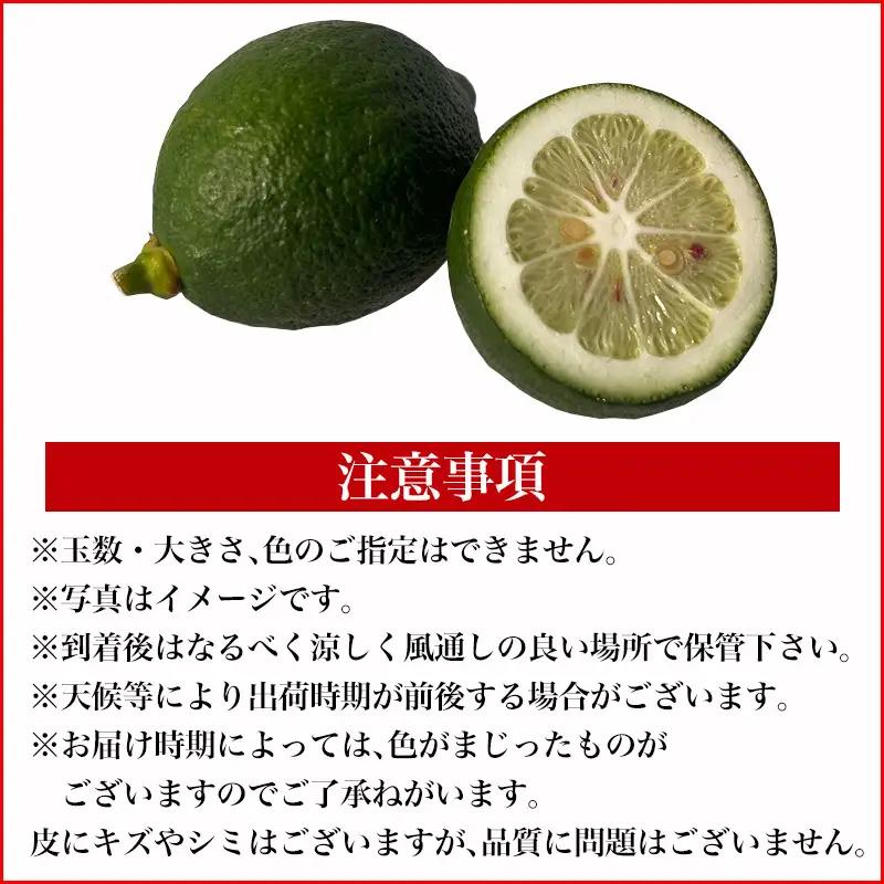 『先行予約』【令和8年11月より順次発送】皮ごと食べる マイヤーレモン 1.5kg