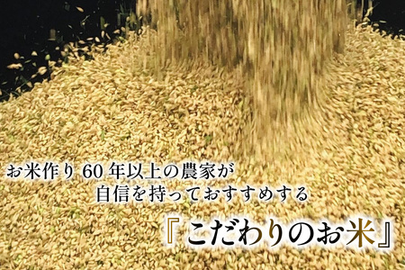 米 令和8年産 コシヒカリ 精米 5kg 3回 定期便