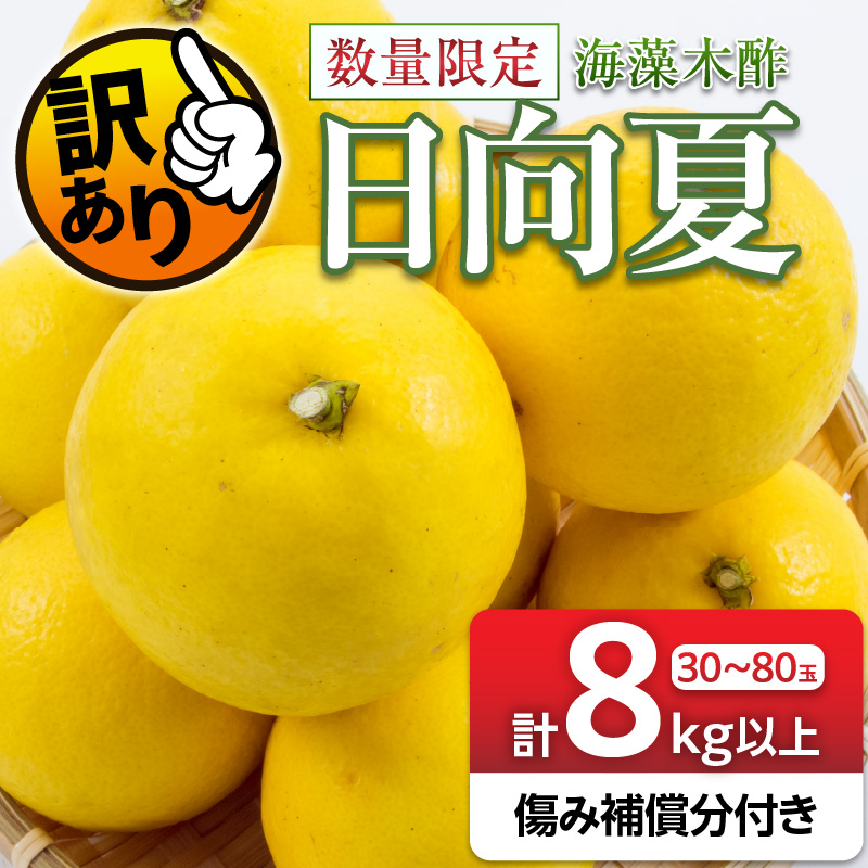 先行予約 訳あり 海藻木酢 日向夏 小夏 計8kg以上 傷み補償分付き 期間限定 数量限定 フルーツ 果物 くだもの 柑橘 みかん 訳アリ 国産 食品 デザート おやつ おすそ分け_BA80-24