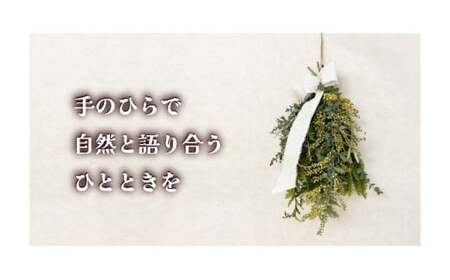 森林セラピー＆スワッグ（苔玉）づくり体験2名様 FZ006 | 森林 セラピー ハイキング 自然 体験 森 観光 四国八十八ヶ所霊場 お遍路 健康 手作り体験 ワークショップ 篠栗町