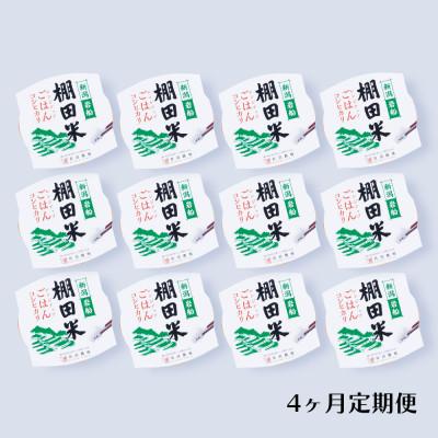 ふるさと納税 村上市 【毎月定期便】新潟県村上市岩船産 棚田米コシヒカリのパックごはん 12個 [131]全4回