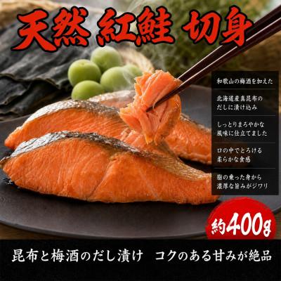 ふるさと納税 北山村 【毎月定期便】大人気!ご家庭用 塩さばフィレ&紅鮭切身セット 計1kg【tkb355】全3回 |  | 01