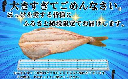 【丸安】メガほっけ開き 特大サイズ ３枚 ほっけ ホッケ 縞ほっけ 縞ホッケ 縞ほっけ干物 縞ホッケ干物 特大 メガサイズ 創業90余年 干物 干物専門店 高級干物 和食 酒の肴 グルメ つまみ おつ