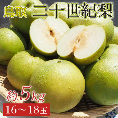 【ふるさと納税】2026年9月上旬から下旬発送予定/二十世紀梨【青梨】5kgセット　ふるさと鳥取の自慢の梨です!【1627103】