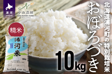 【令和5年産】北海道浦河町の特別栽培米「おぼろづき」精米(10kg×1袋)[37-1133]