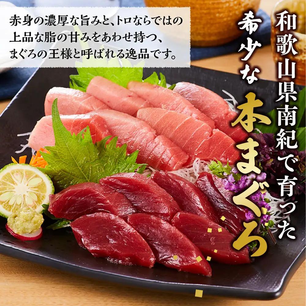本マグロ（養殖）トロ 赤身 セット 3kg［KS14］まぐろ