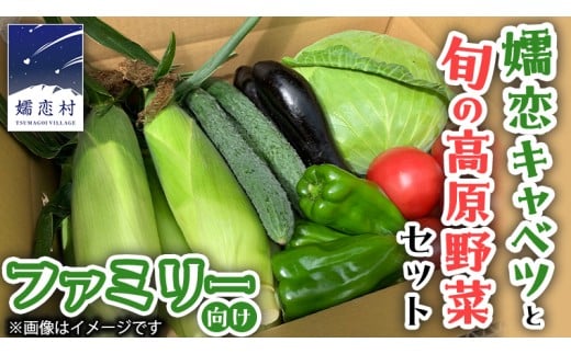 【9/10入金確認分まで】  嬬恋 キャベツ と旬の 高原 野菜 セット 4人様 ファミリー向け 旬の野菜 先行予約 きゃべつ 群馬 419 嬬恋キャベツ 産地直送 詰め合わせ アソート [AK002tu]