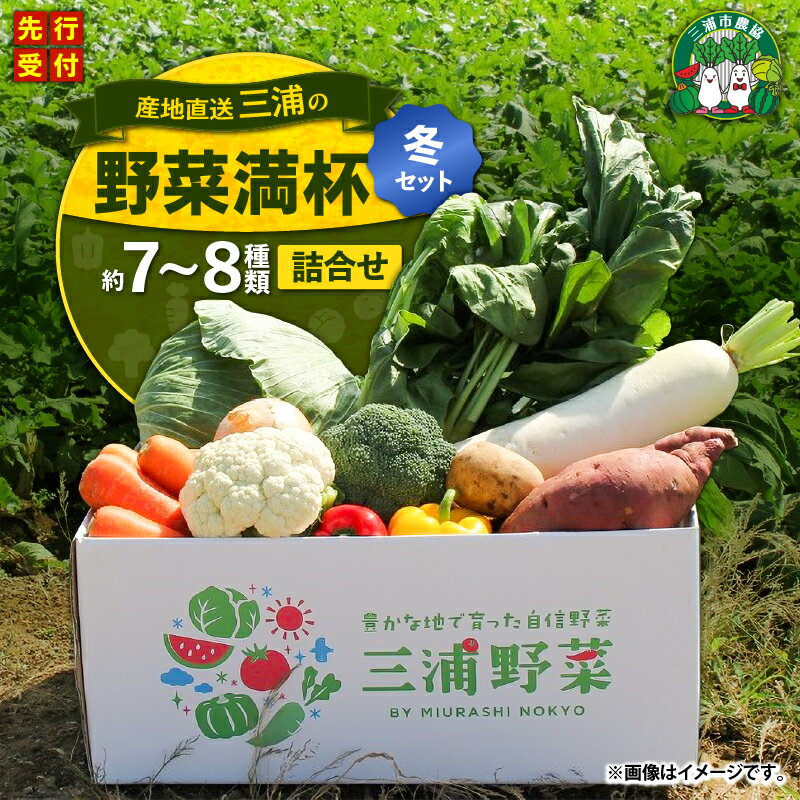 【ふるさと納税】【先行予約】 おいしさを全力に 三浦の野菜 満杯セット（冬） 野菜 旬 詰め合わせ 大根 キャベツ サラダ 白菜 小松菜 水菜 ほうれん草 カブ 春菊 レタス 冬野菜 期間限定 三浦市農業協同組合 神奈川県 三浦市 おすすめ ランキング プレゼント ギフト