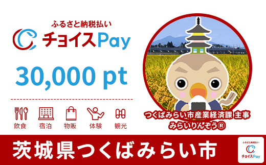 
            つくばみらい市チョイスPay 30,000pt【会員限定のお礼の品】
          