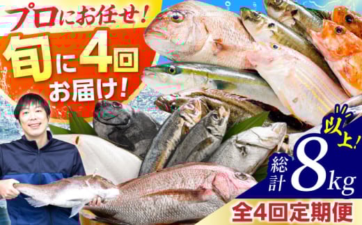 【定期便】 【全4回(3ヶ月毎発送)】 【下処理済】 旬の天然鮮魚 2kg 以上 おまかせ セット 【加福鮮魚】「若狭小浜港産地直送」！　