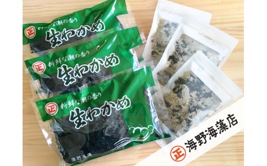 
                  塩蔵わかめ 200g×3パック 青のりとろろ 22g× 3パック セット【共通返礼品/大洗町】【ワカメ とろろ昆布 免疫力  腸内細菌 ミネラル 海藻 乾物 味噌汁 スープ うどん】（HC-11）
                