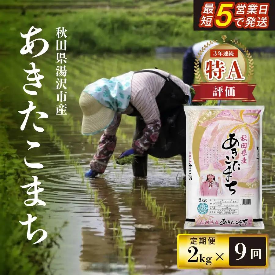 【定期便9ヶ月】令和8年産米 あきたこまち白米 2kg あきたこまち [N7-17202]