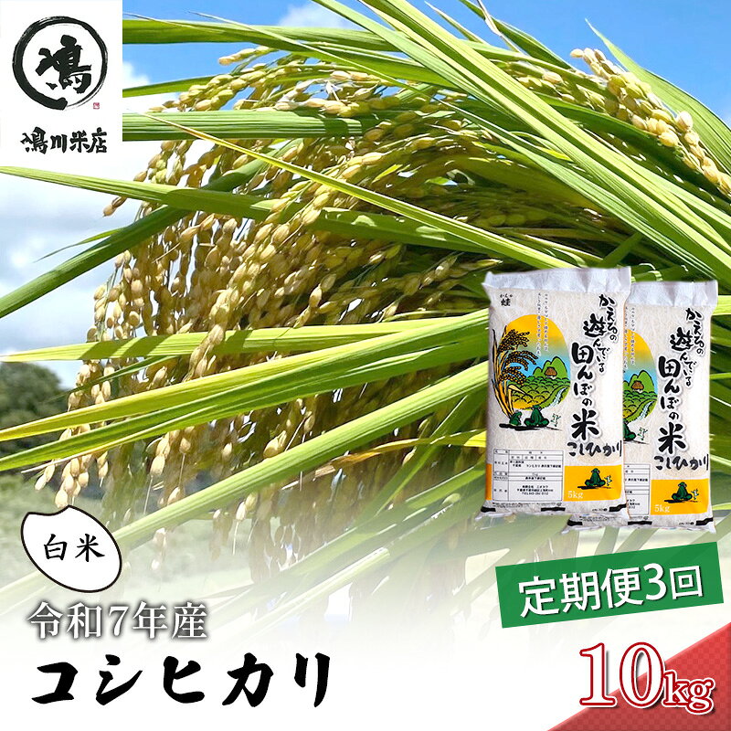 【ふるさと納税】令和7年 3ヶ月定期便　コシヒカリ　白米　10kg（5kg×2）【定期便 お米 白米 粘り甘み】 精米 粘りつやつや 美味しい 新鮮