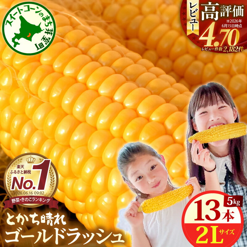 【ふるさと納税】【先行予約】楽天 ランキング 連続 1位 獲得 2026年産 とうもろこし 北海道産 スイートコーン ゴールドラッシュ 13本 2L 5kg 【2026年7月下旬～8月10日頃配送】 甘い 人気 朝採り 産地直送 送料無料 北海道 十勝 芽室町