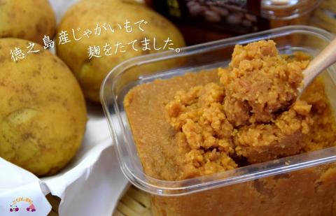 ～赤土育ちのじゃがいも使用～徳之島のじゃがいも味噌（無添加） ( 味噌 みそ 調味料 じゃがいも 伝統 徳之島 奄美 鹿児島 郷土料理 美味しい )