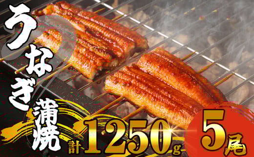 ふっくら 有頭 うなぎ蒲焼 5尾 合計1250g前後 SF011-2